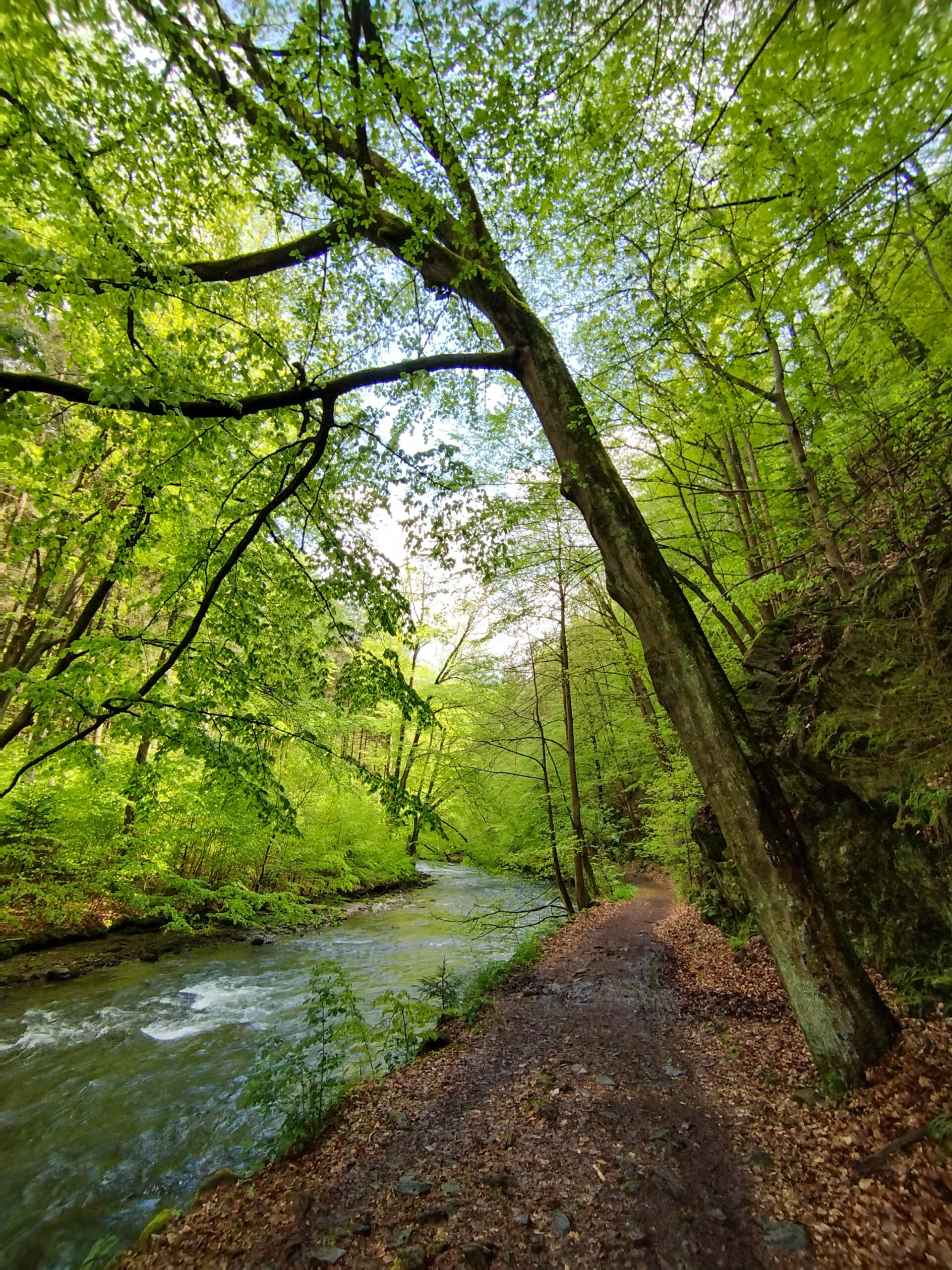 Peklo, nádherná príroda na výlete karavanom po Česku
